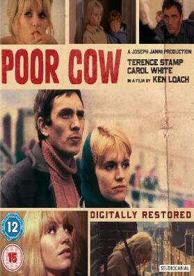 电影:可怜的母牛