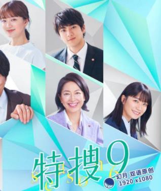 电影:特搜9第六季