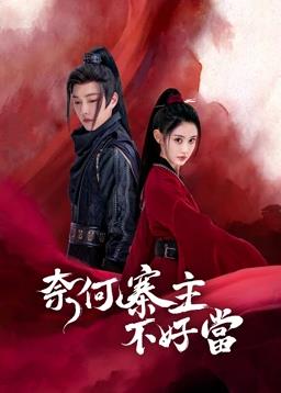 电影:奈何寨主不好当