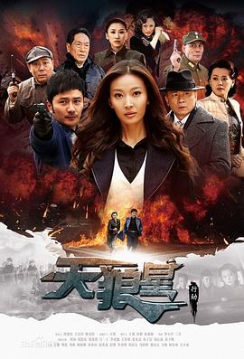 电影:天狼星行动