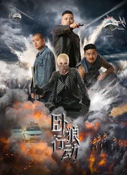 电影:卧狼行动
