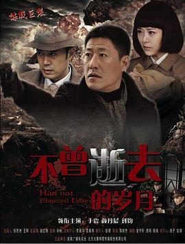 电影:密使2之江都谍影