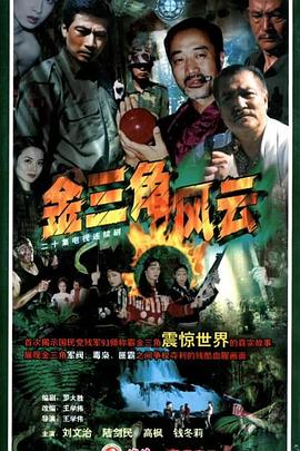 电影:金三角风云