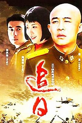 电影：追日2004