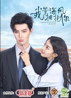 电影:我等海风拥抱你