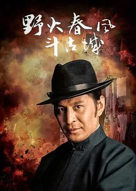 电影:野火春风斗古城2005