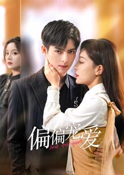 电影:偏偏宠爱