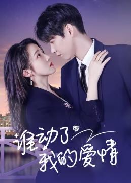 电影：谁动了我的爱情