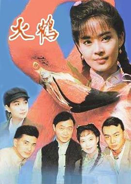 电影:火鹤