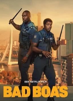 电影：凹凸双雄