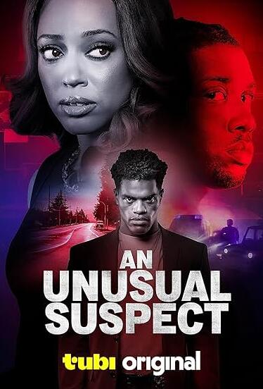电影:一个不寻常的嫌疑人