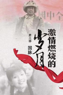 电影:激情燃烧的岁月3