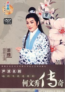 电影:何文秀传奇