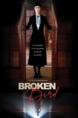 电影：折翼鸟2024