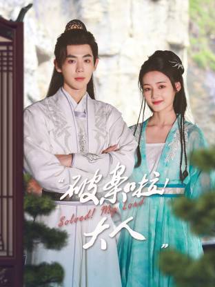 电影:破案啦!大人