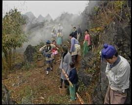 电影：鱼公主红鲤公主