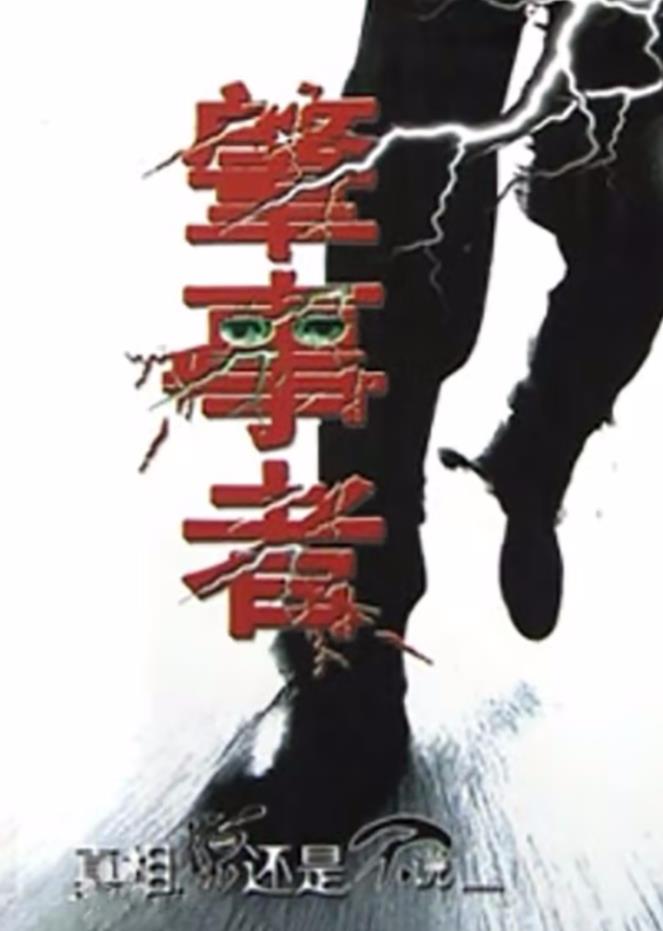 电影:肇事者2004