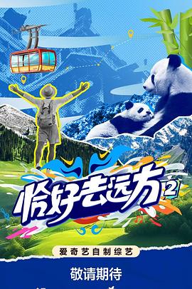 电影：恰好去远方2