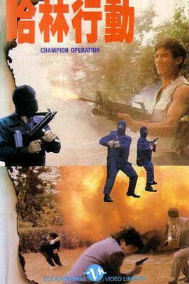 电影：哈林行动