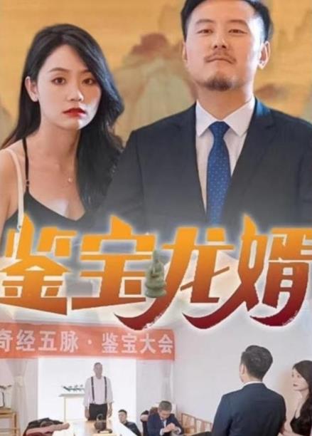 电影：鉴宝龙婿