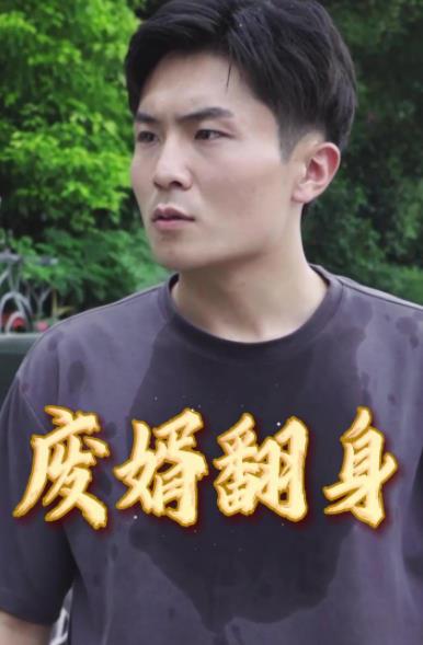 电影：废婿翻身