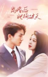 电影：离婚后她捅破天