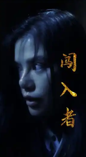 电影：闯入者2024