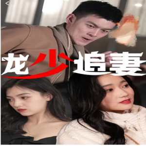 电影：龙少追妻