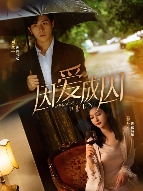 电影：因爱成囚