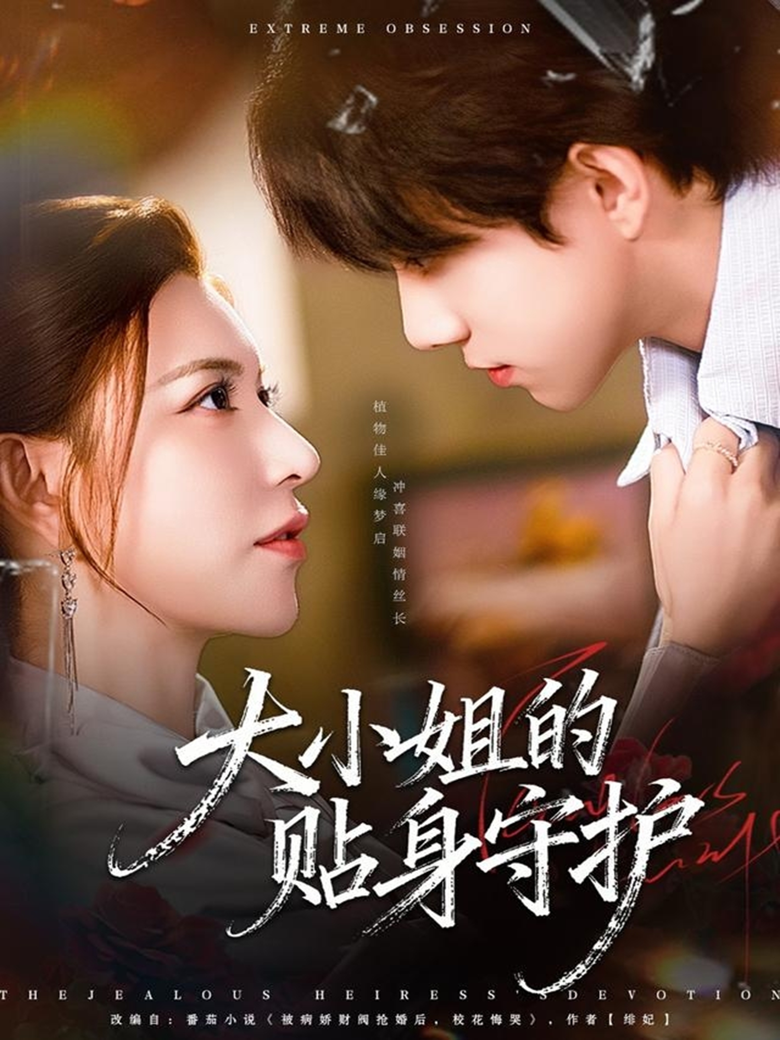 电影：大小姐的贴身守护