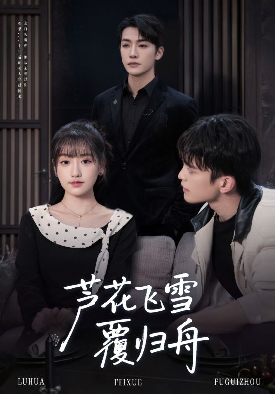 电影：芦花飞雪覆归舟