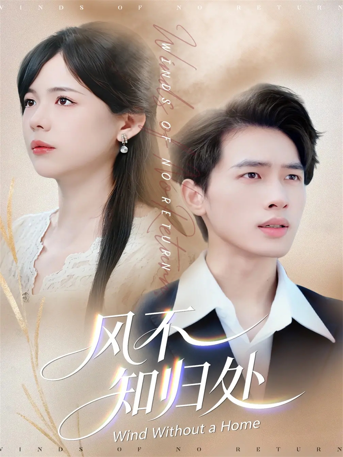 电影：风不知归处