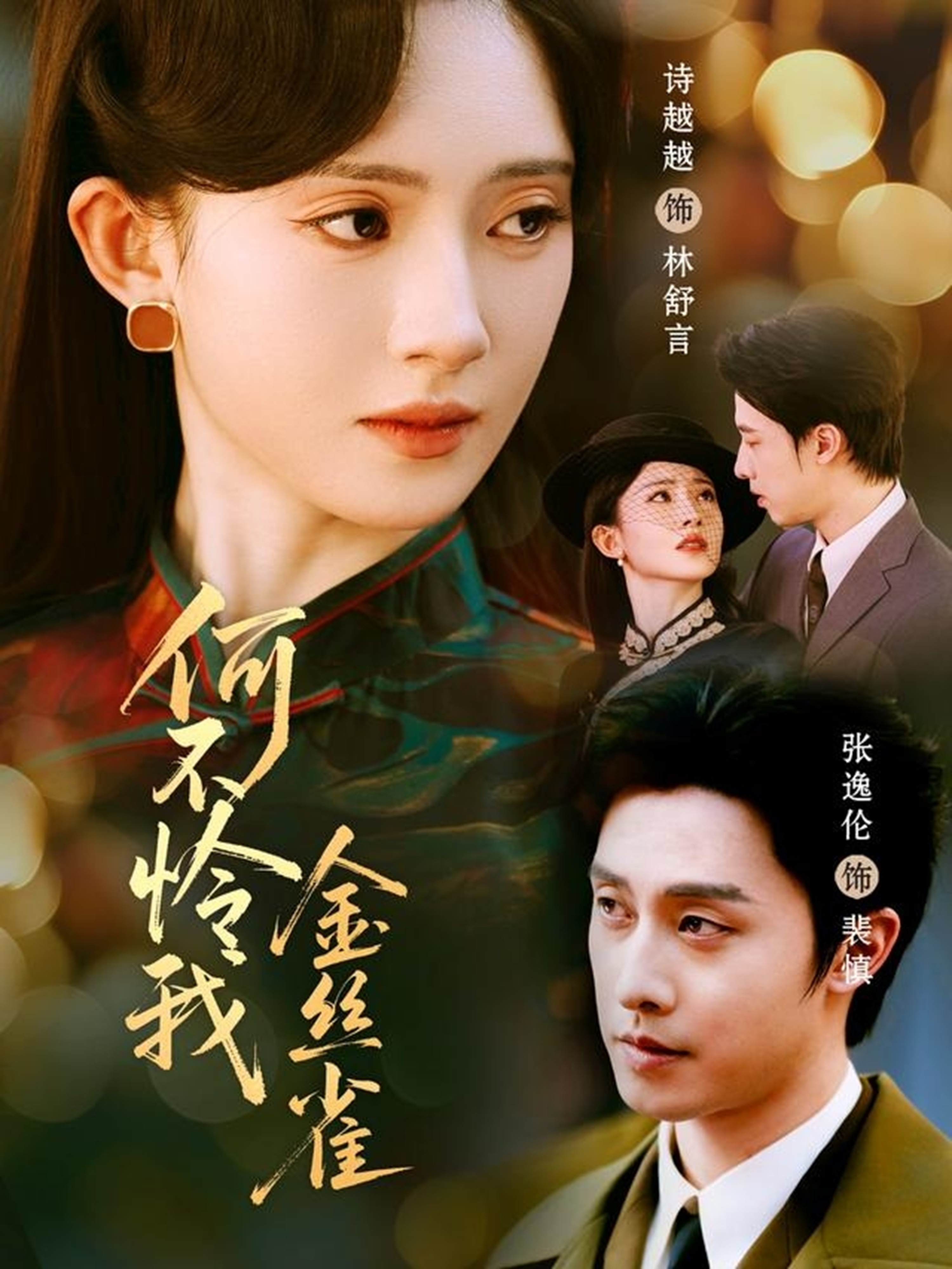 电影：何不怜我金丝雀