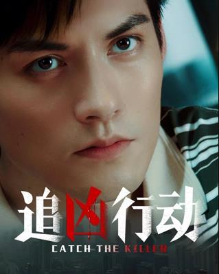 电影：追凶行动