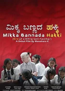 电影：异羽之鸟