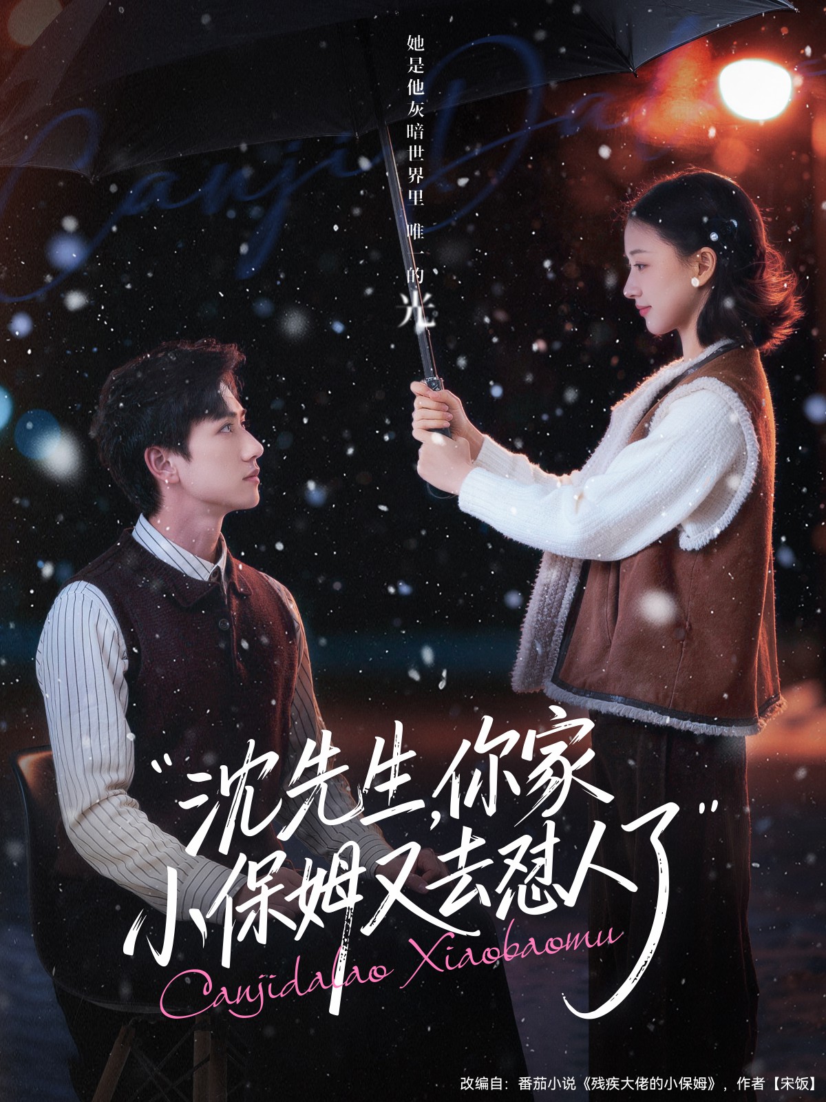 电影：沈先生，你家小保姆又去怼人了