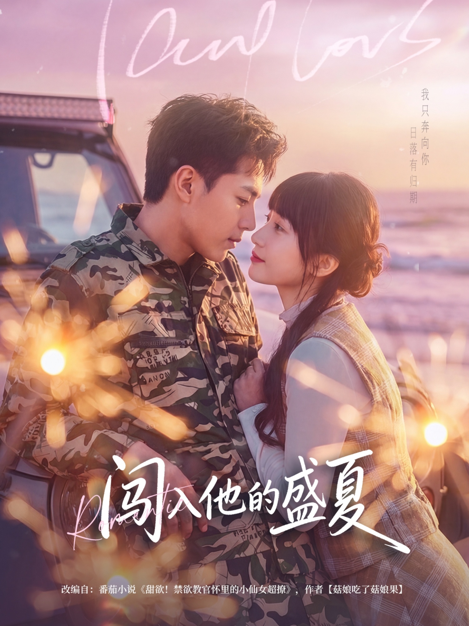 电影：闯入他的盛夏