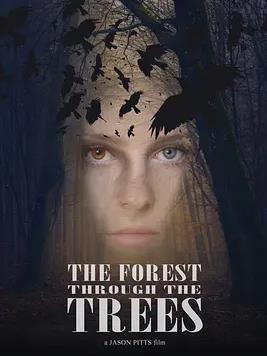 电影：林渊寻咒