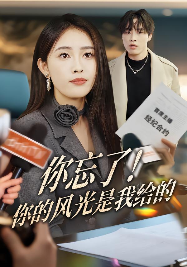 电影：你忘了！你的风光是我给的