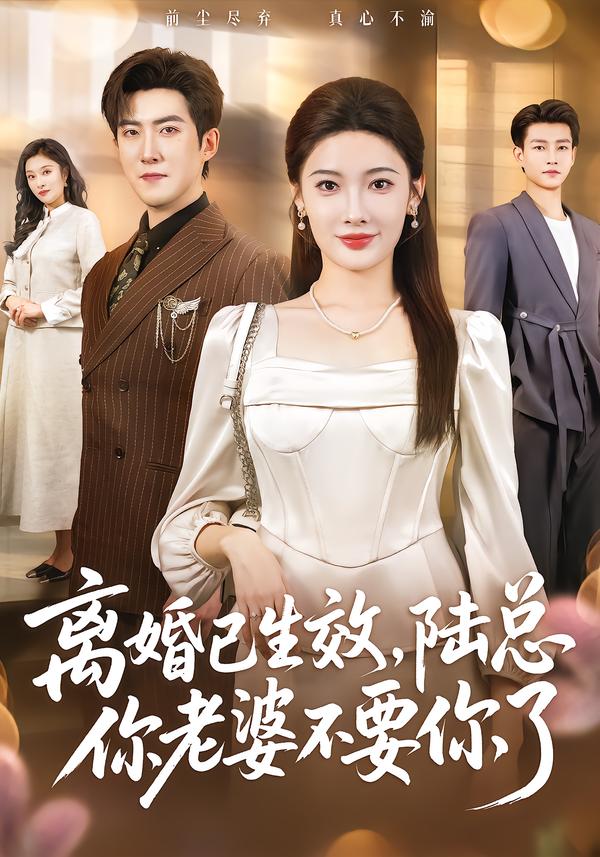 电影：离婚已生效，陆总你老婆不要你了