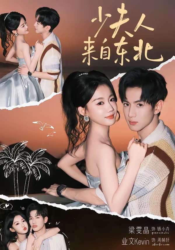 电影：少夫人来自东北