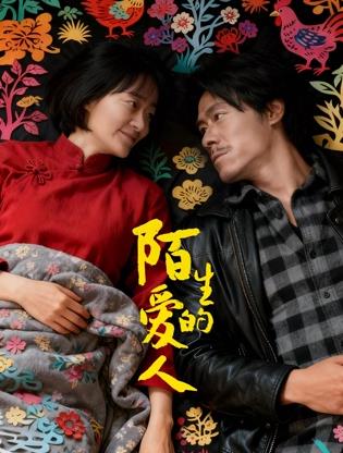 电影：陌生的爱人