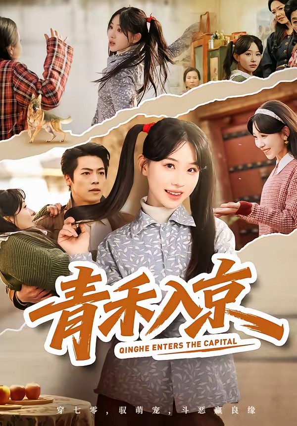 电影：青禾入京