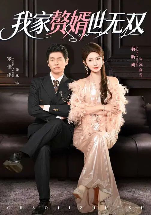 电影：我家赘婿世无双