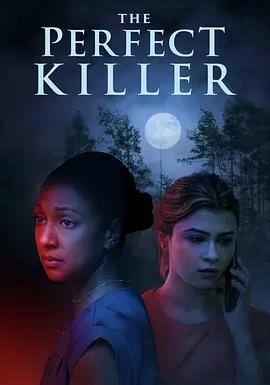 电影：完美杀手