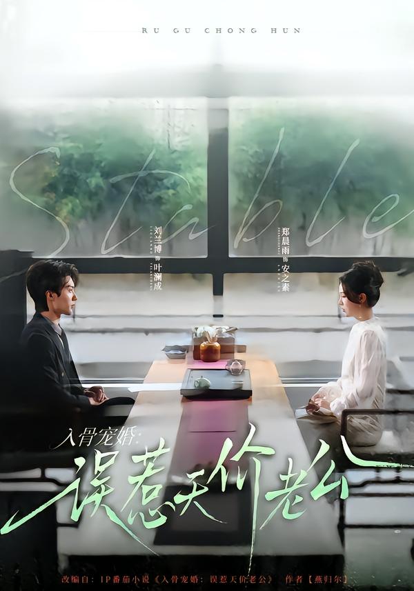 电影：入骨宠婚：误惹天价老公