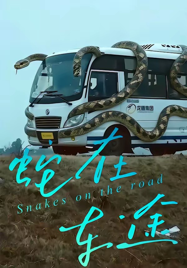 电影：蛇在车途