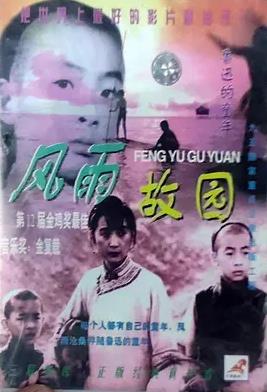电影:风雨故园