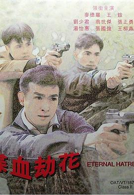 电影：喋血劫花