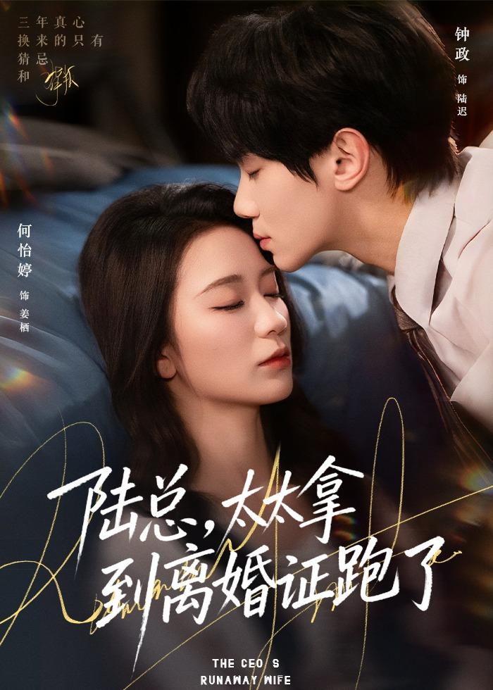 电影：陆总，太太拿到离婚证跑了